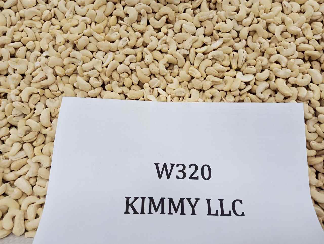 Raw Image Of W320 Cashew Nuts From Our Cashew Factory In Binh Phuoc, Vietnam-5