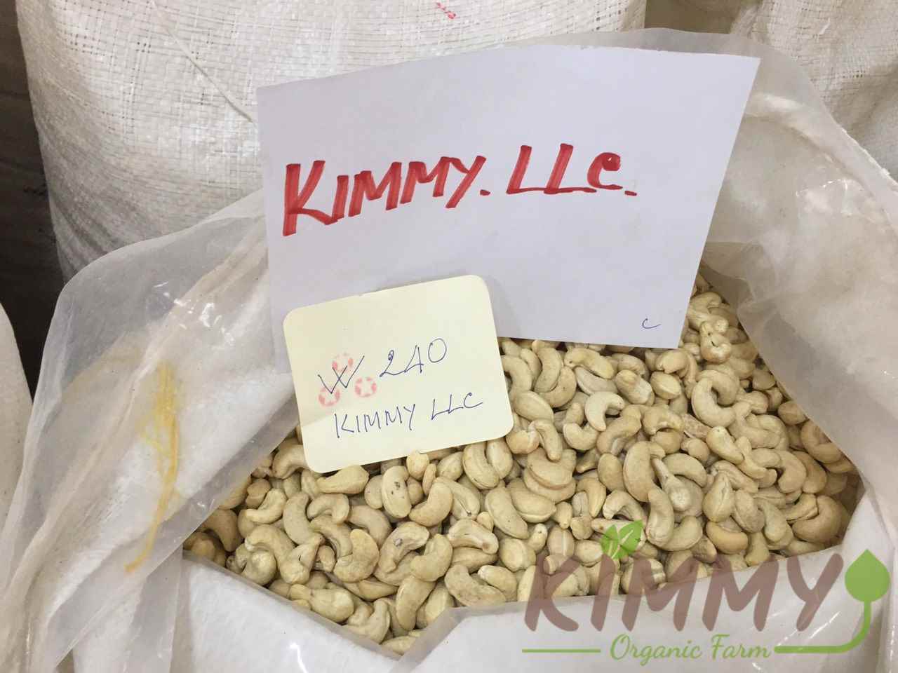 Vietnam W240 Cashew Nut White Whole Cashews High-Quality Ready For Export - Raw image of W240 From Our Cashew Factory!-1