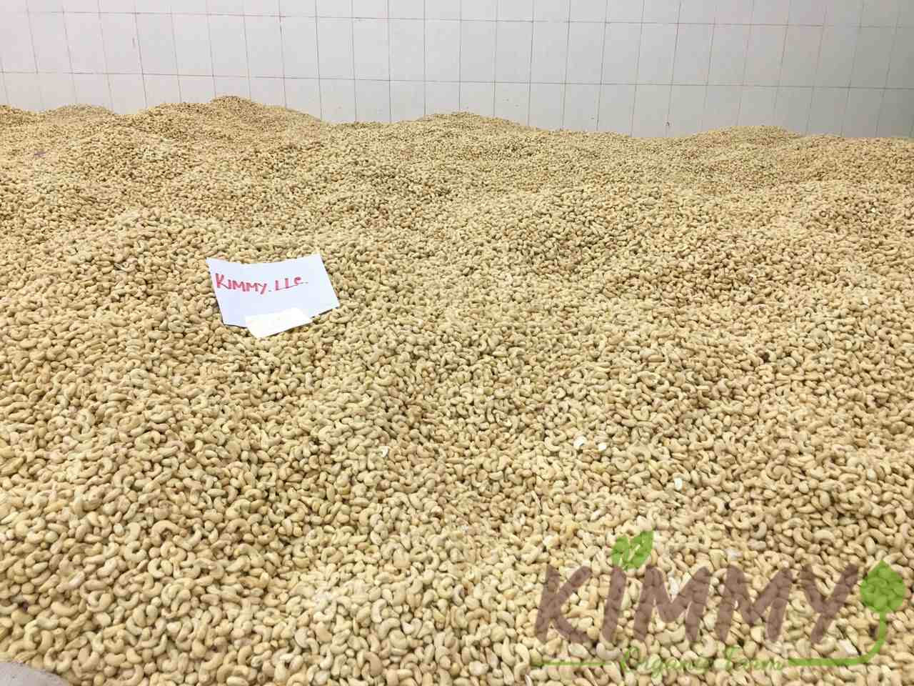W320 & W240 Cashew Nuts At Our Factory Binh Phuoc Vietnam
