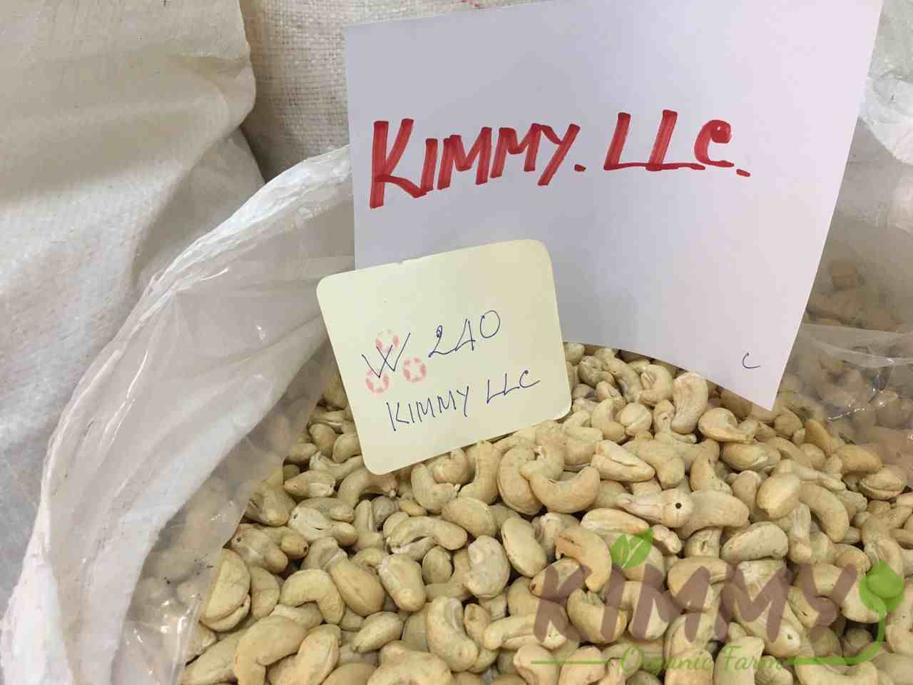 Raw Image Of W240 Cashew Nuts From Our Cashew Factory In Binh Phuoc, Vietnam – 1 W240 cashew image 