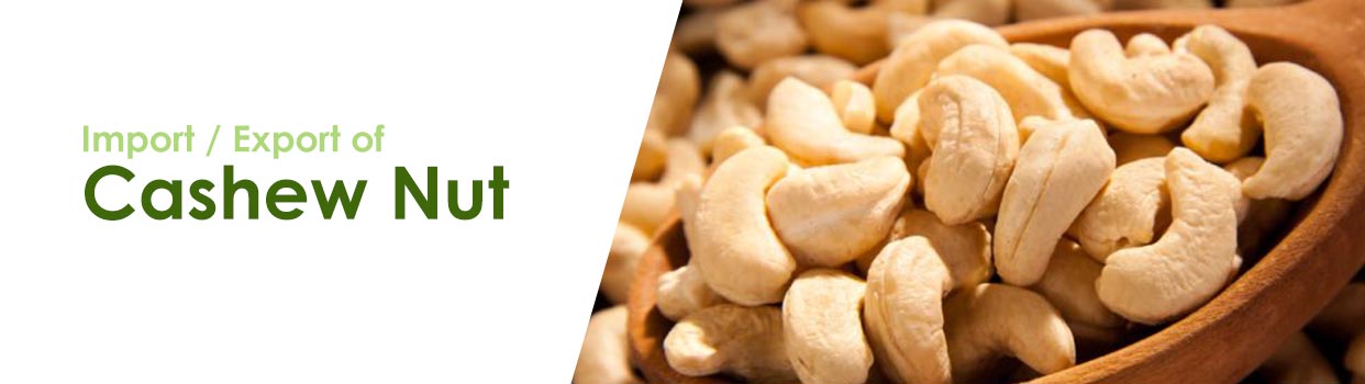 How To Import The Cashew Nuts From Vietnam?