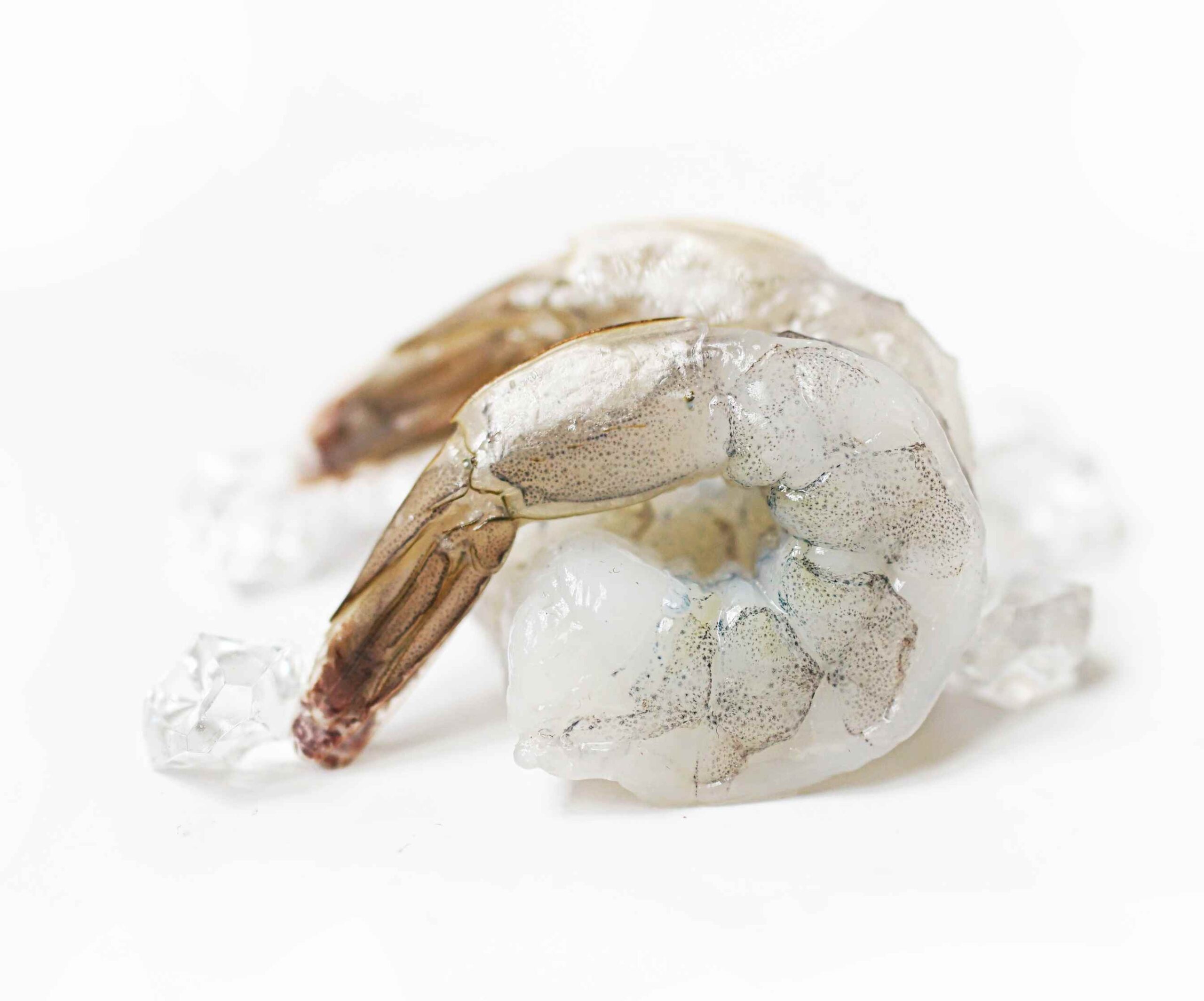 frozen vannamei shrimp - white leg shrimp V2 -4