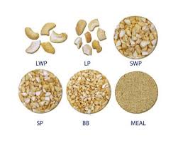 Comparison between: LWP, LP, SWP, SP, BB, MEAL - Vietnam cashew nuts