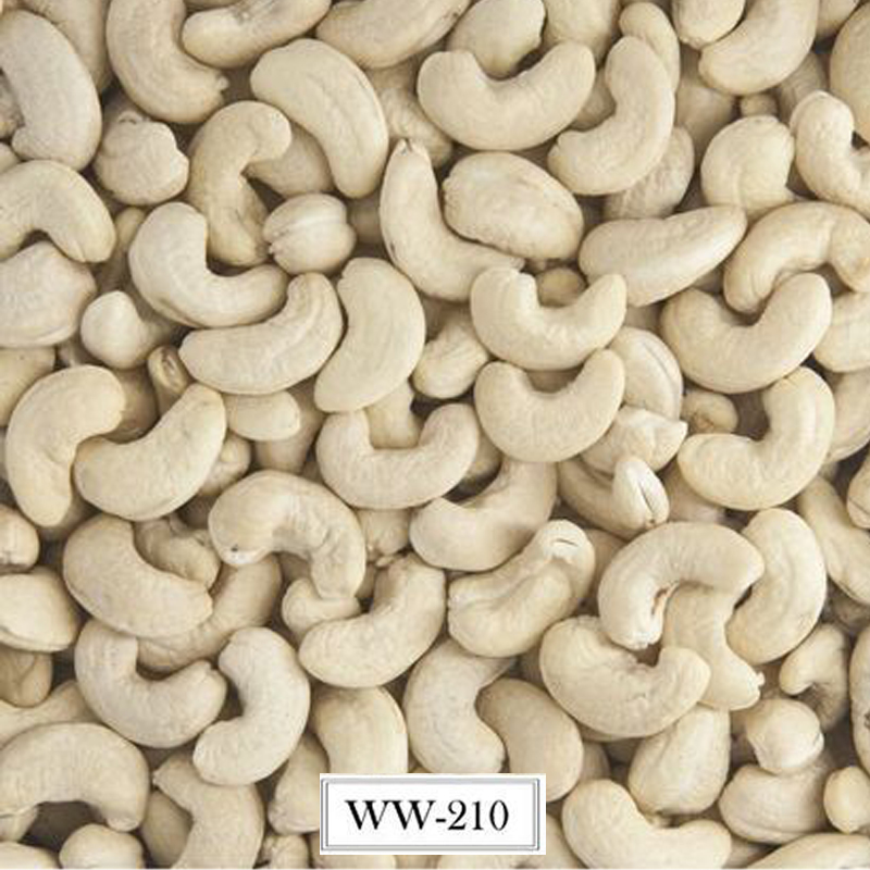 W210 Whole Cashew Nuts Kernel exporter in Vietnam