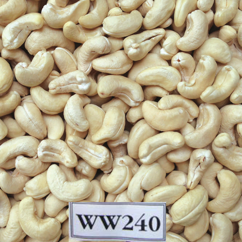 Hạt điều nhân trắng tiêu chuẩn WW240 chất lượng cao cấp xuất khẩu