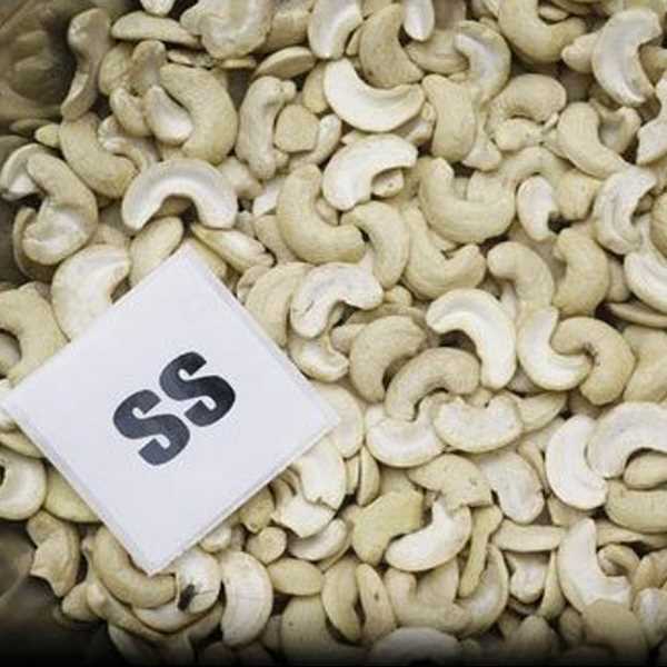 Ss Cashew Nuts Kernel exporter/manufacturer in Vietnam