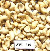 SS-Cashewnuss ist eine Art Cashewnuss mit gebrochenem gelbem Kern, der gesammelt wird, um viele Produkte aus Cashewnuss herzustellen