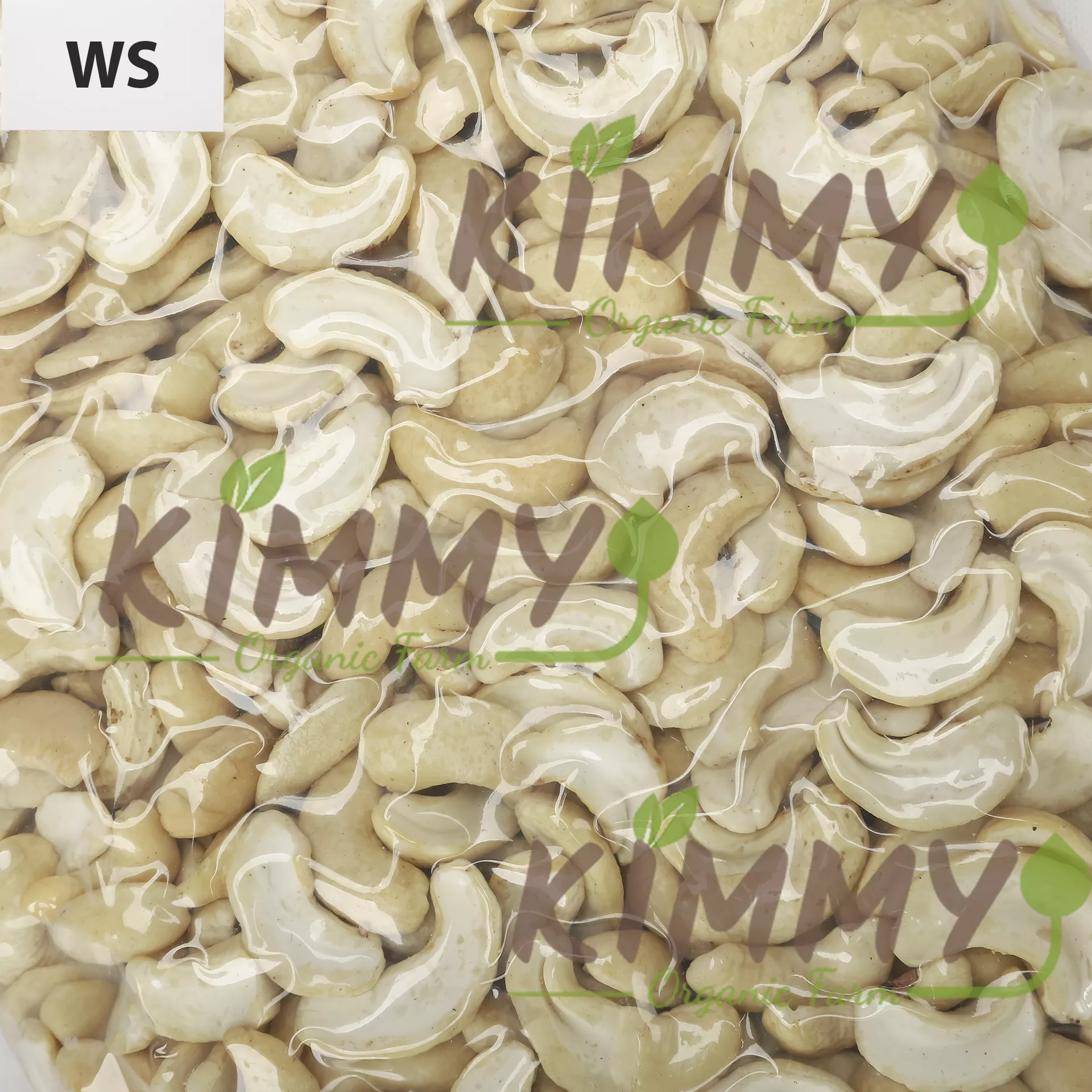 WS Cashew With 1st Quality – 1KG Packed in Vacuum Bags – Kimmy Farm Vietnam - 2