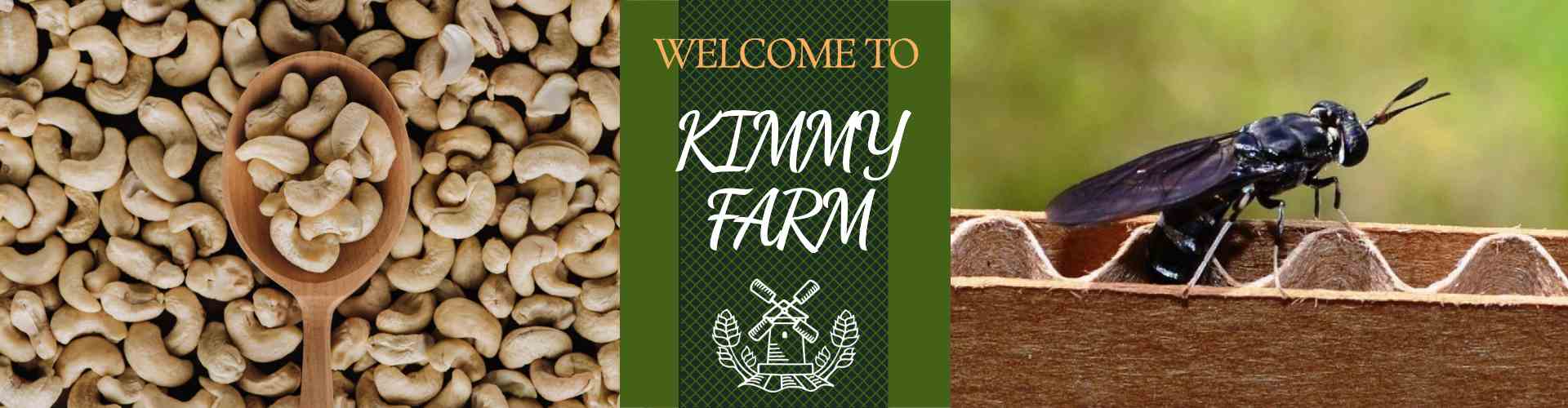 Kimmy Farm