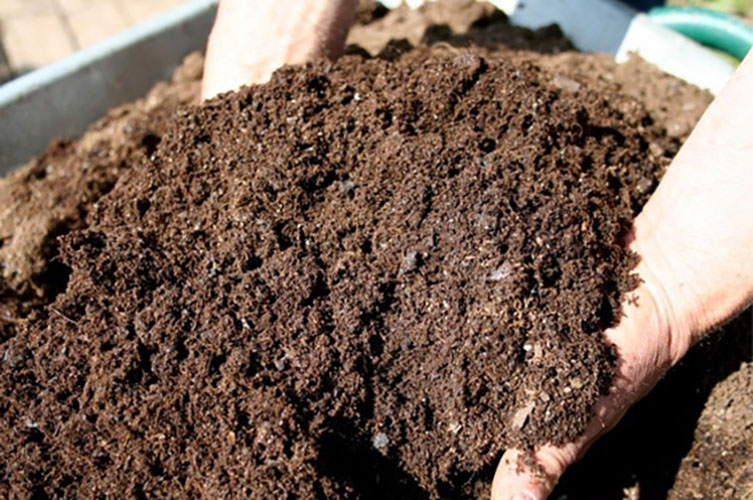 hân của ấu trùng ruồi lính đen (giống như phân trùn quế) là một loại phân bón hữu cơ, phân sạch, rất ít hoặc không có mùi hôi, có rất nhiều dưỡng chất tốt cho đất