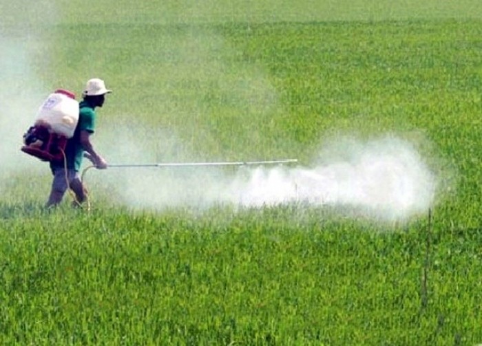 Tránh những vùng nông nghiệp đang sử dụng thuốc trừ sâu liều cao để thiết lập trại nuôi ruồi.