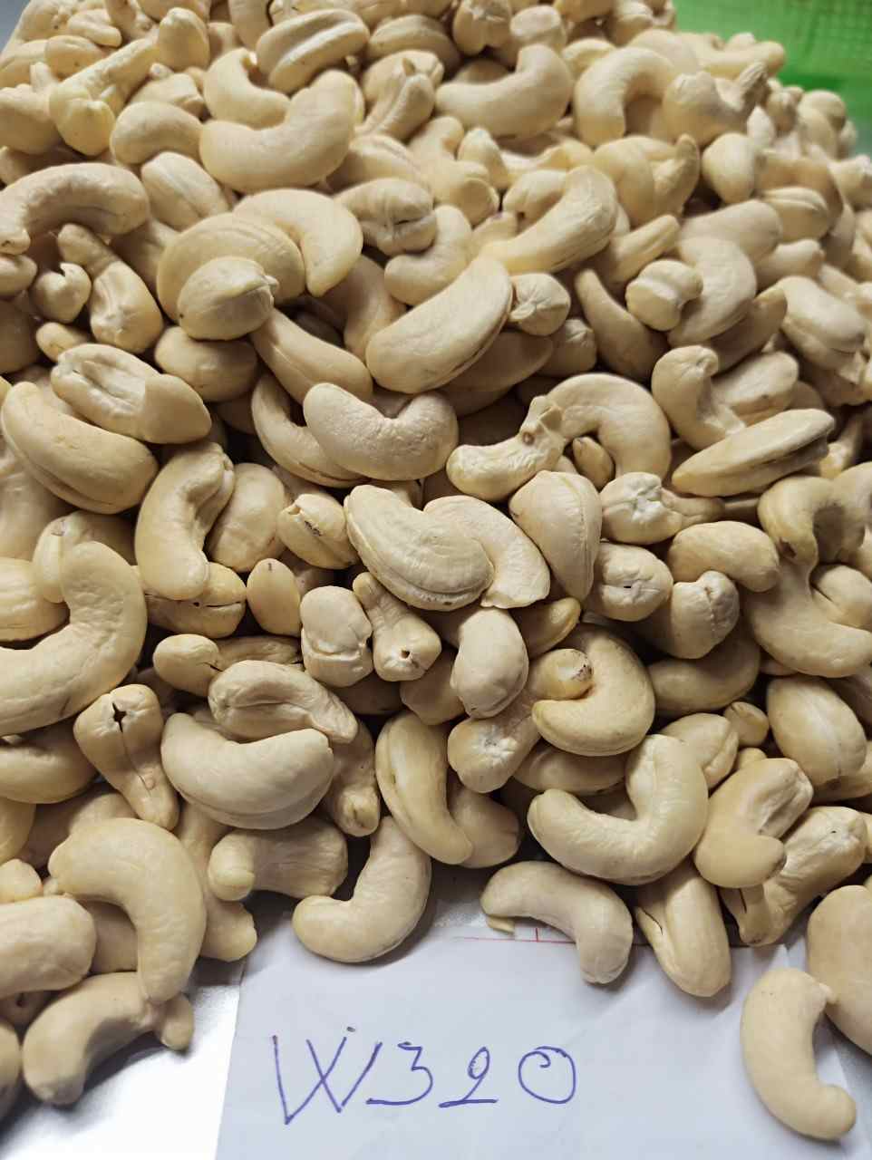 Raw Image Of W320 Cashew Nuts From Our Cashew Factory In Binh Phuoc, Vietnam - 2
