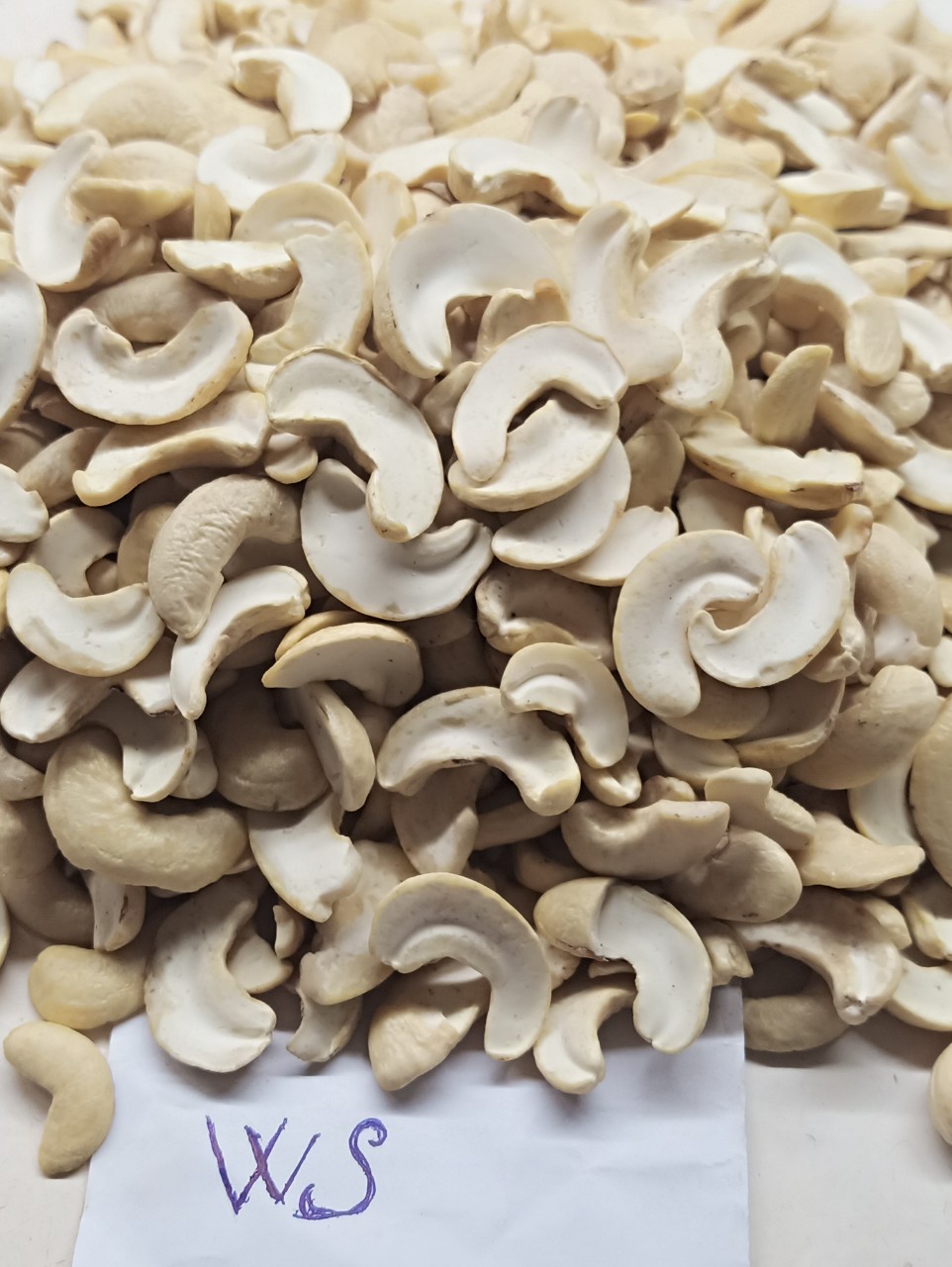 Raw Image Of WS Cashew Nuts From Our Cashew Factory In Binh Phuoc, Vietnam – 1 W320 image!