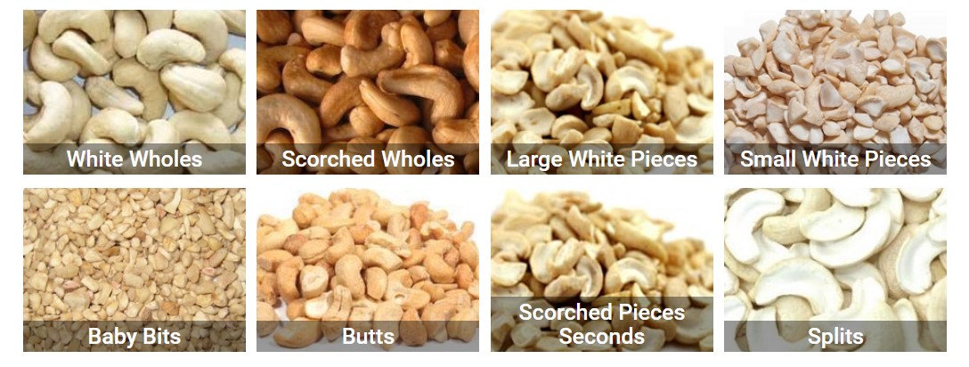 Different Grades Cashew Kernels, Cashew Types List Vietnam