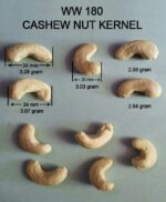 Different Grades Cashew Kernels, Cashew Types List Vietnam