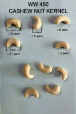 Different Grades Cashew Kernels, Cashew Types List Vietnam