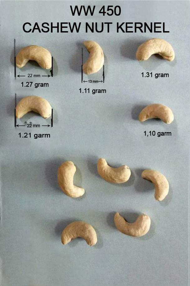 W450 Cashew Nut Kernel Dimensions – Cashew Size Of W450 Cashew grades chart – Raw Image About W450 cashew nuts