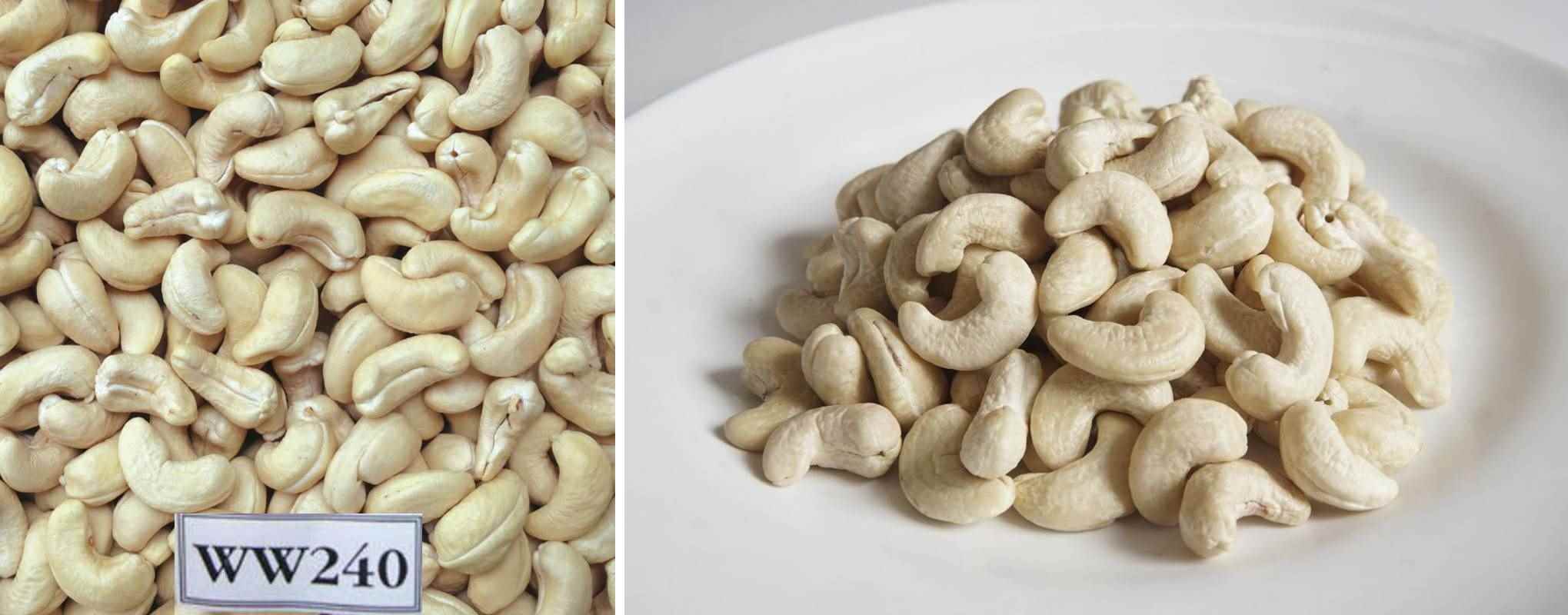 Cashew nut ww240 grade is a large, white, whole cashew that has between 220 and 240 nuts/pound (395 – 465 beans/kg) and is known internationally as Premium Large Nuts. 
