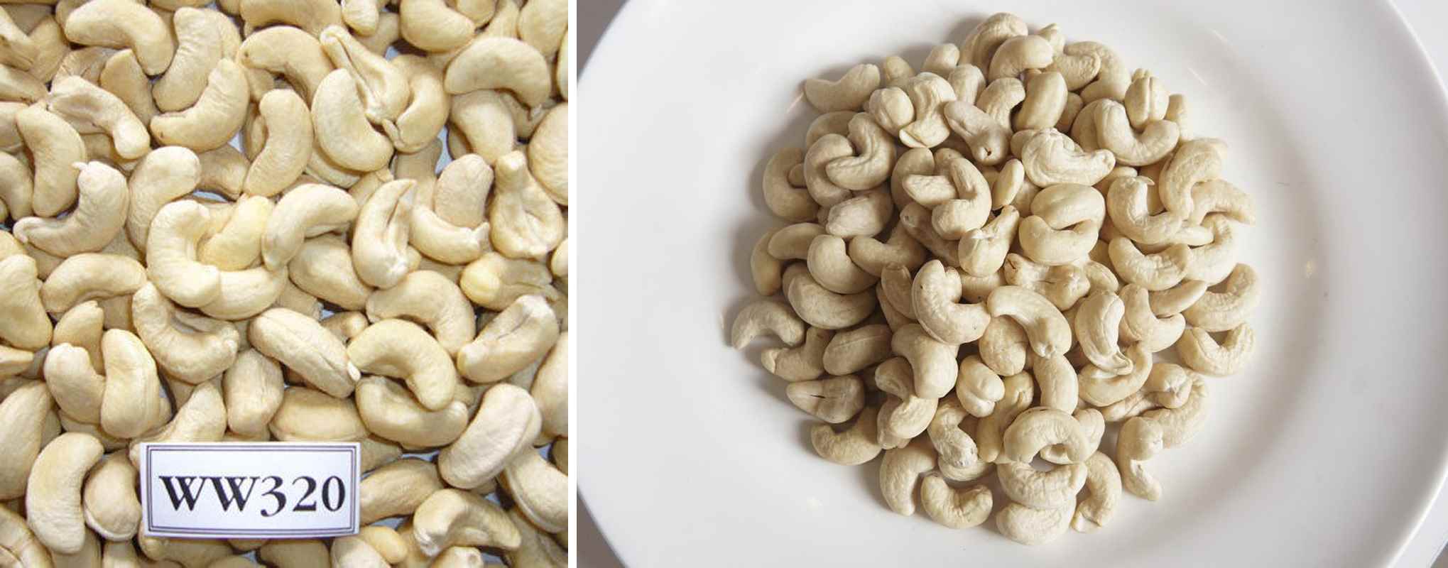 Cashew nut ww320 grade high quality, regular-size, non-damaged and non-split and white, popular whole cashew that would produce between 300 – 320 pieces per pound (453.59g) – (about 660 – 706 pieces per kg)