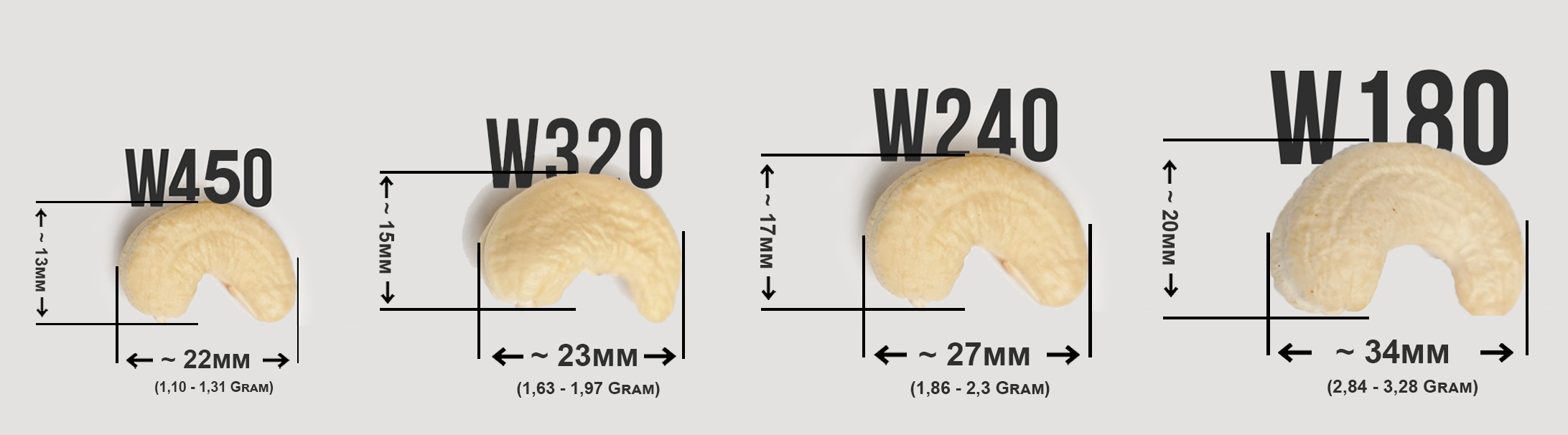 Größen einiger gängiger Arten von Cashewkernen, die von AFIs klassifiziert werden: W180-Cashewkerne, W240-Cashewkerne, W320-Cashewkerne, W450-Cashewkerne