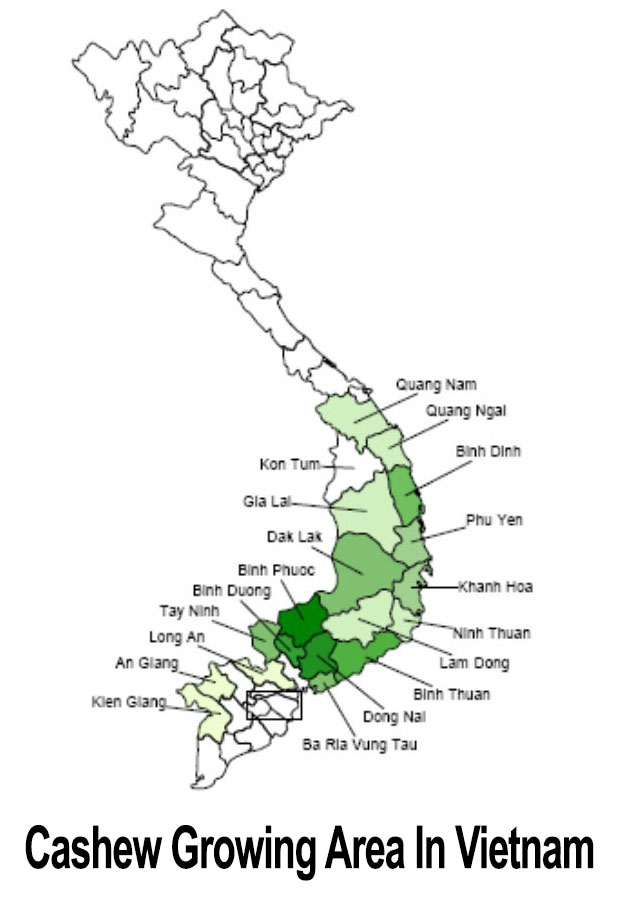 Die Karte zeigt, wo in Vietnam Cashewnüsse und Cashewbäume zu finden sind.