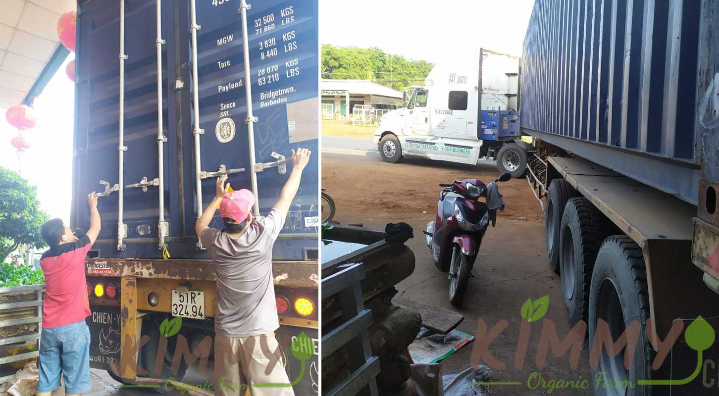 Shipping container 40 feet of cashew nut kernels to the Port – Kimmy Farm Vietnam Raw Image