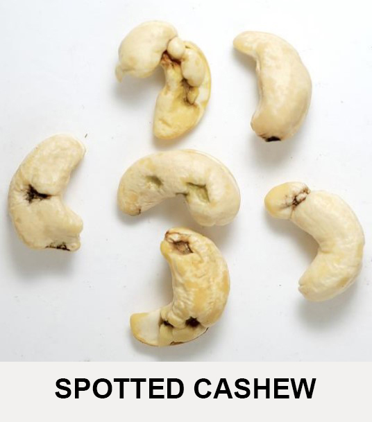Black spots, brown spots, dark spots on cashews nut Sample 