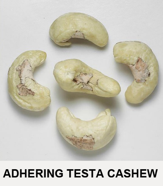 The husk of cashews (cashew testa) is slightly acidic. Although it does not affect our health, it causes an itchy neck and cough when used a lot.
