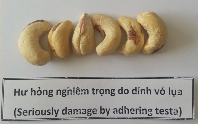 Cashew Kernels with Seriously damage by adhering husk