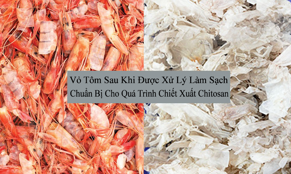 Die vietnamesische Garnelenindustrie verschwendet eine große Menge Garnelenschalen.