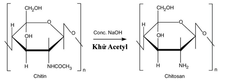 Chitosan wird üblicherweise industriell durch Deacetylierung von Chitin mit NaOH hergestellt.