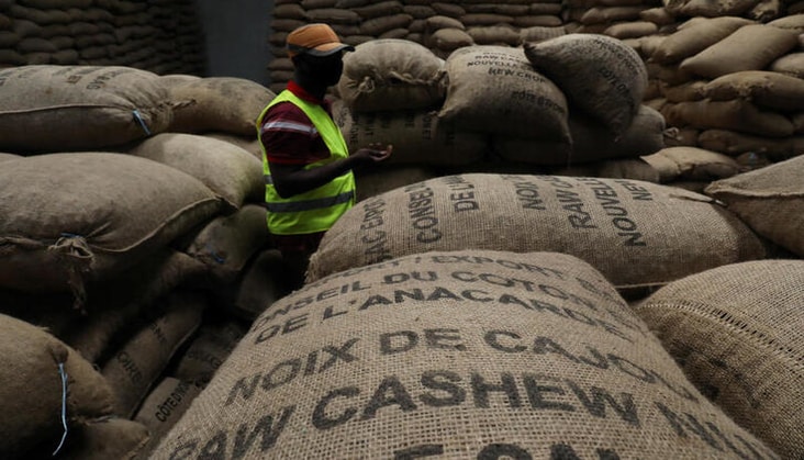 In der Elfenbeinküste, dem weltgrößten Exporteur von rohen Cashewnüssen, hat die Regierung damit begonnen, den Export von rohen Cashewnüssen mit FCFA 30/kg roher Cashewnüsse zu besteuern.