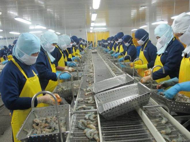 Tổng lượng phế liệu vỏ tôm, đầu tôm ở Việt nam khoảng 325.000 tấn vào năm