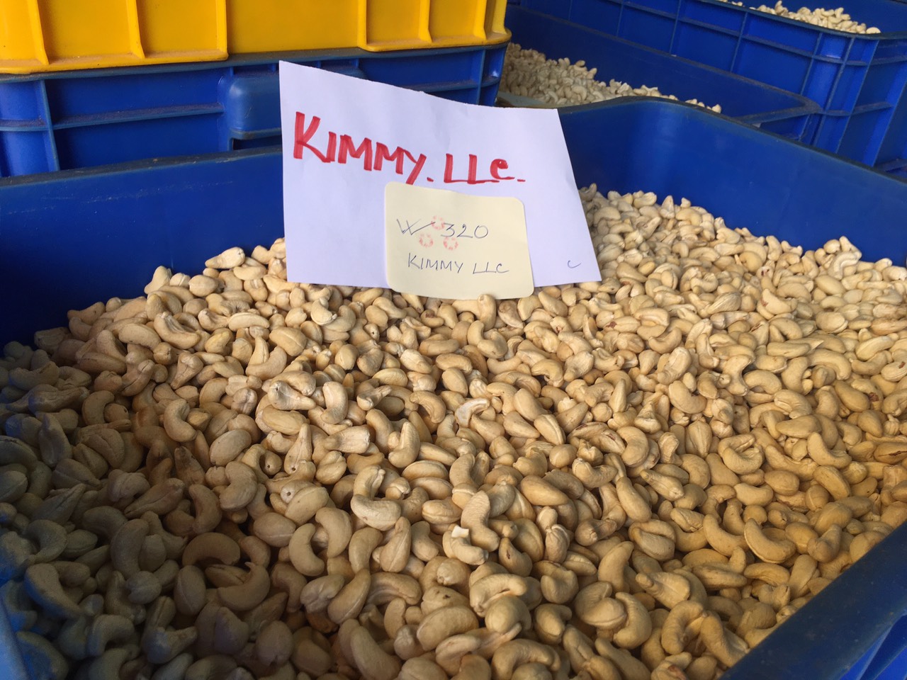 W320 cashew nut kernels in high-quality