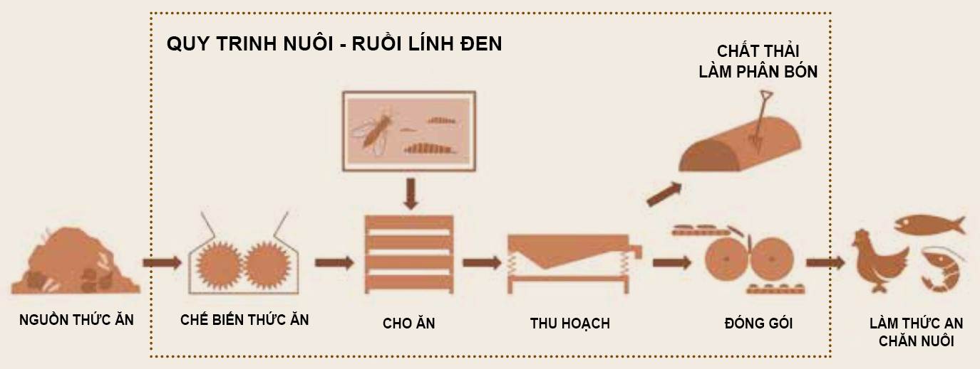 Nuôi ruồi lính đen: Việc nuôi ruồi lính đen không chỉ giúp tiêu diệt côn trùng, mà còn tạo nên một không gian trong lành và tạo cảm giác thư giãn cho bạn. Chúng là những động vật tràn đầy sức sống và tính cách đa dạng, sẽ mang đến cho bạn những trải nghiệm mới mẻ và thú vị. Hãy cùng xem qua tập hình ảnh về việc nuôi ruồi lính đen để biết thêm thông tin chi tiết.