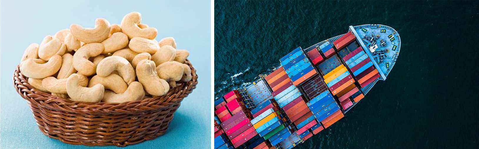 Exporting cashew nut kernels from Vietnam is 0% export tax as regulated by decree 125 of the Government and the price of cashew nuts is among the lowest.