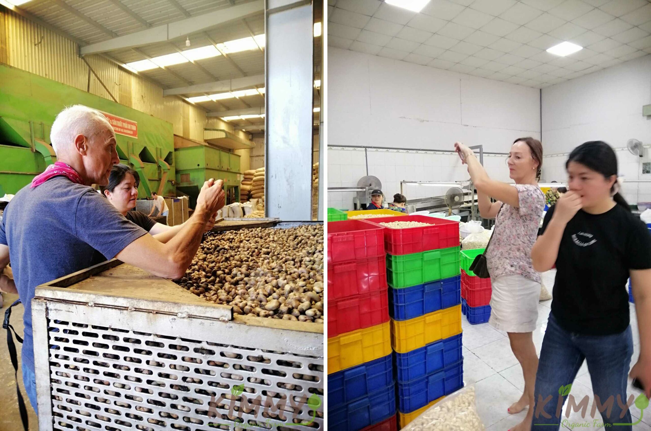 Our Customers Visiting Our Cashew Factory in Bu Dang, Binh Phuoc, Vietnam