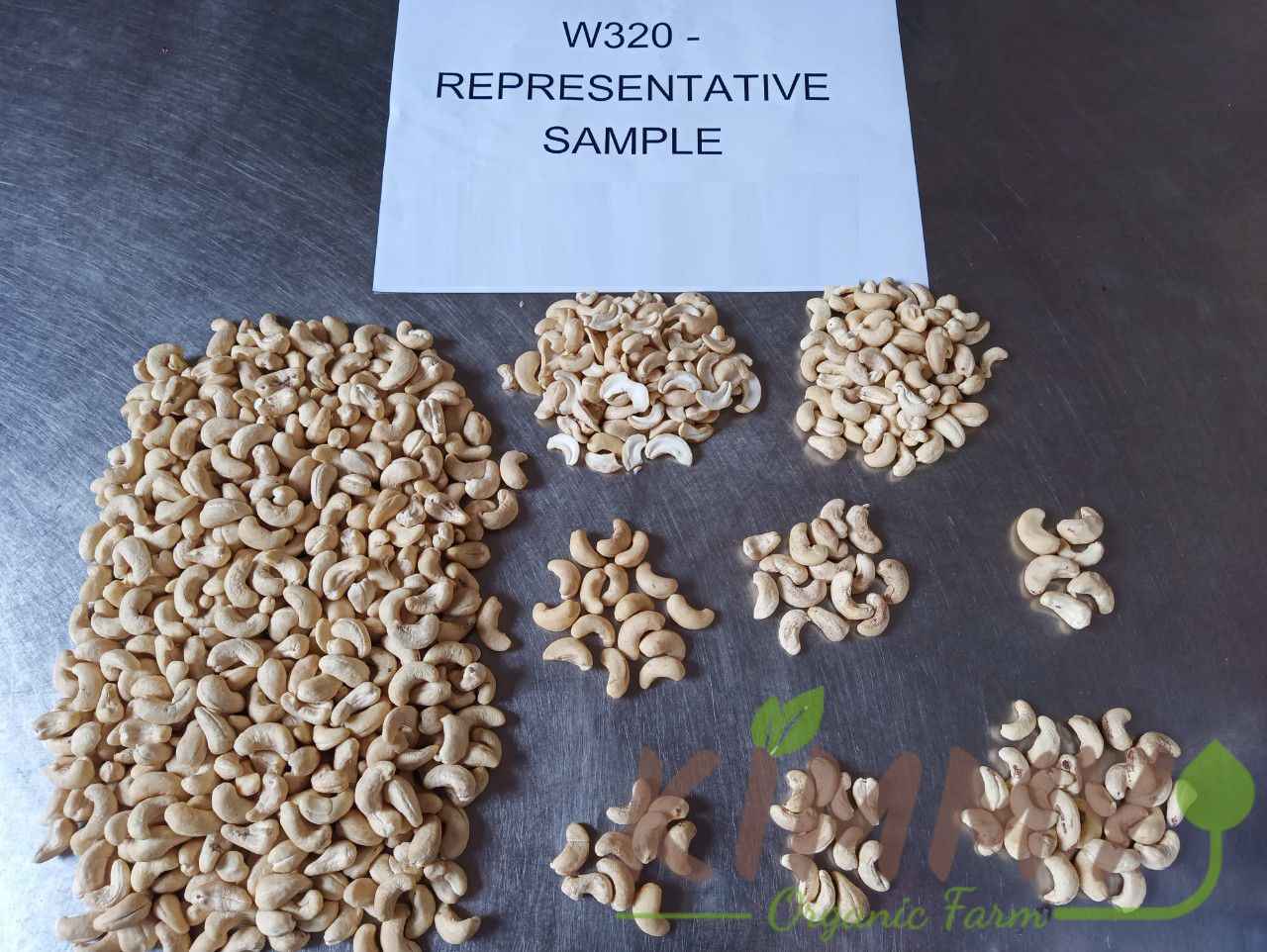 Vietnam W320 Cashew Nut White Whole Cashews High-Quality Ready For Export - Raw image of W320 From Our Cashew Factory! -2