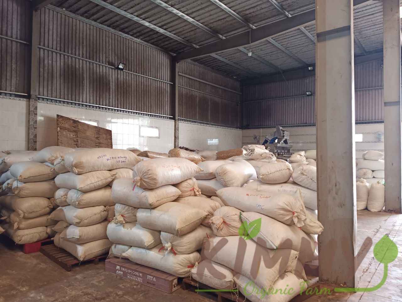 Cashew nuts kernels Warehouse - Kimmy Farm Vietnam