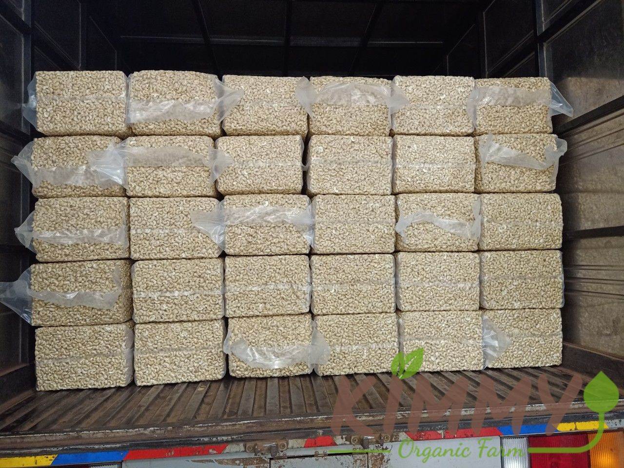 2 tons of cashew kernels ready for export 1