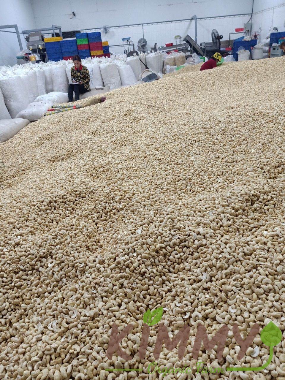 2 tons of cashew kernels ready for export-2