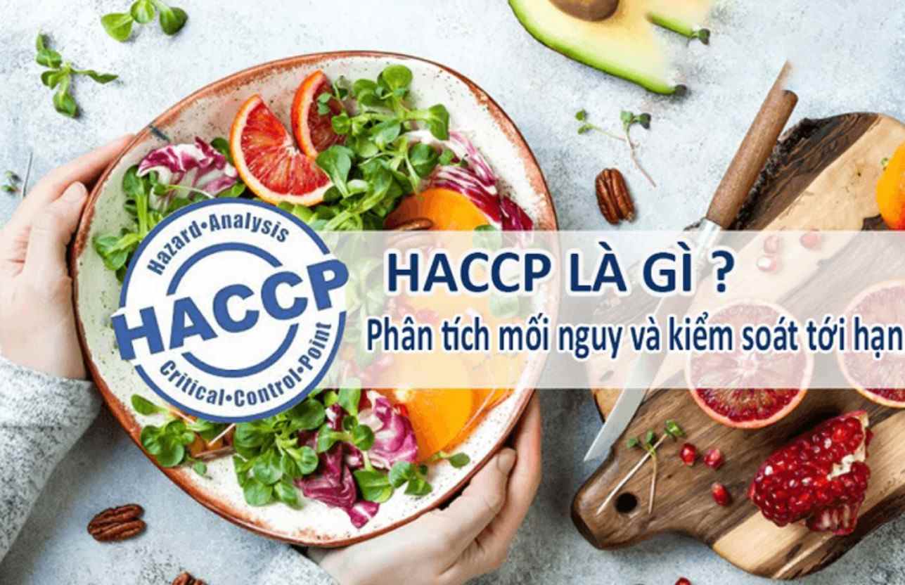 Grundsätze der Cashew-Qualitätskontrolle HACCP - Kimmy Farm Vietnam