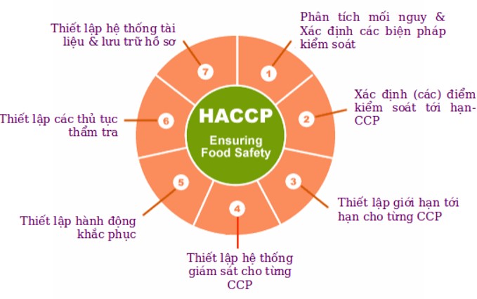 7 nguyên tắc giúp kiểm soát chất lượng hạt điều HACCP