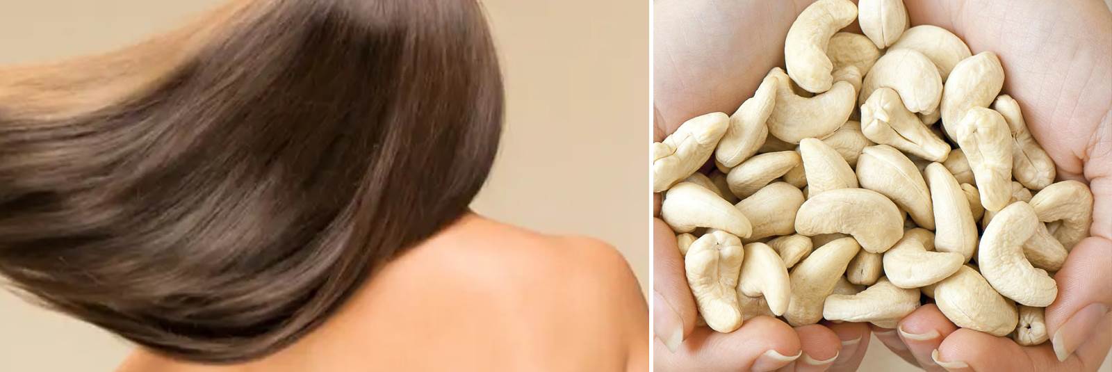 The Cashew Kernels are GOOD for Your Skin Heathy. Beautiful skin is a dream of many women.