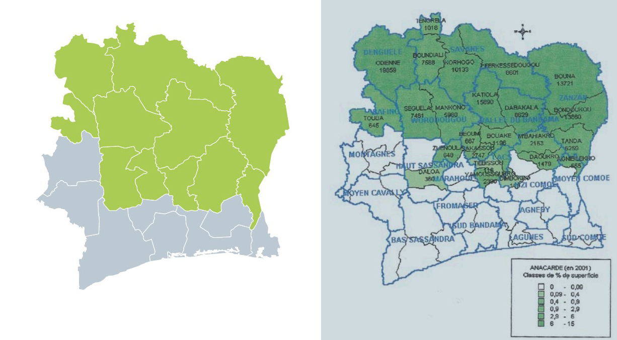 Cashew-Anbaugebiete in der Elfenbeinküste: Bafing, Denguélé, Lacs, Toumodi, Marahoué Moyen Comoé, N'Zi Comoé, Savanes, Bandama Valley, Worodougou, Zanzan
