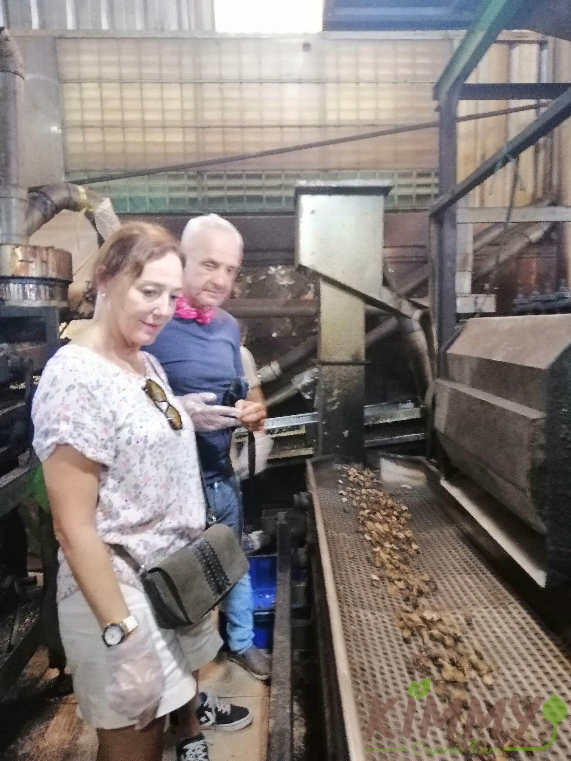 Cashew nut processing machine - Kimmy Farm