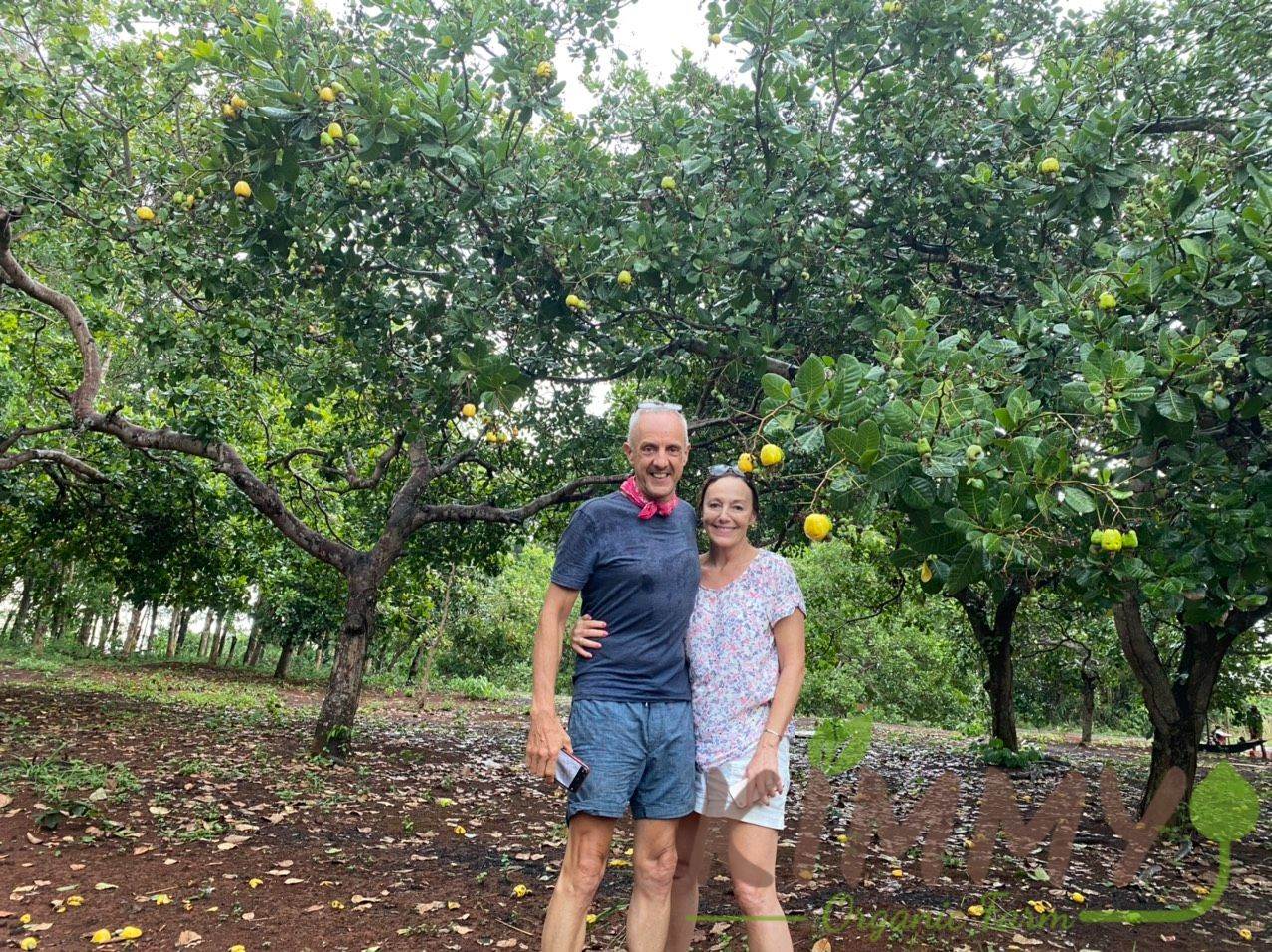 Cashew Farm in Bu Dang, Binh Phuoc Vietnam - Kimmy Farm