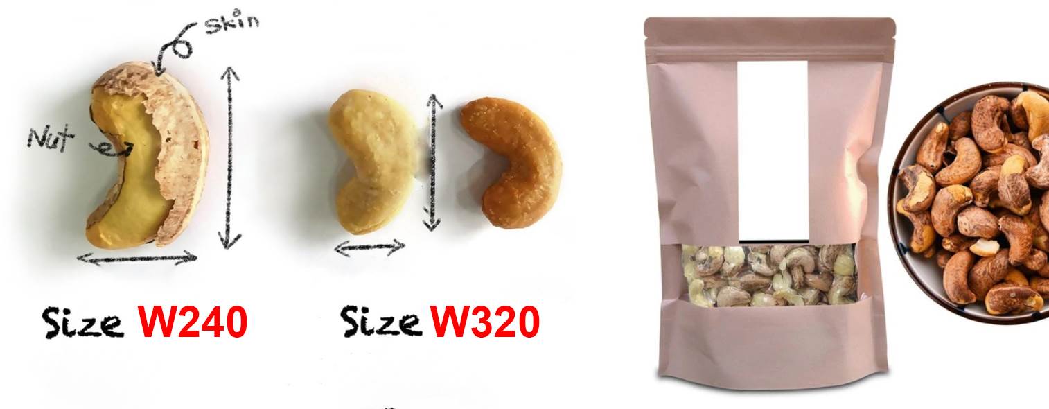 Cashew nut W240 and Cashew nut W320 are the most popular cashew sizes on the market