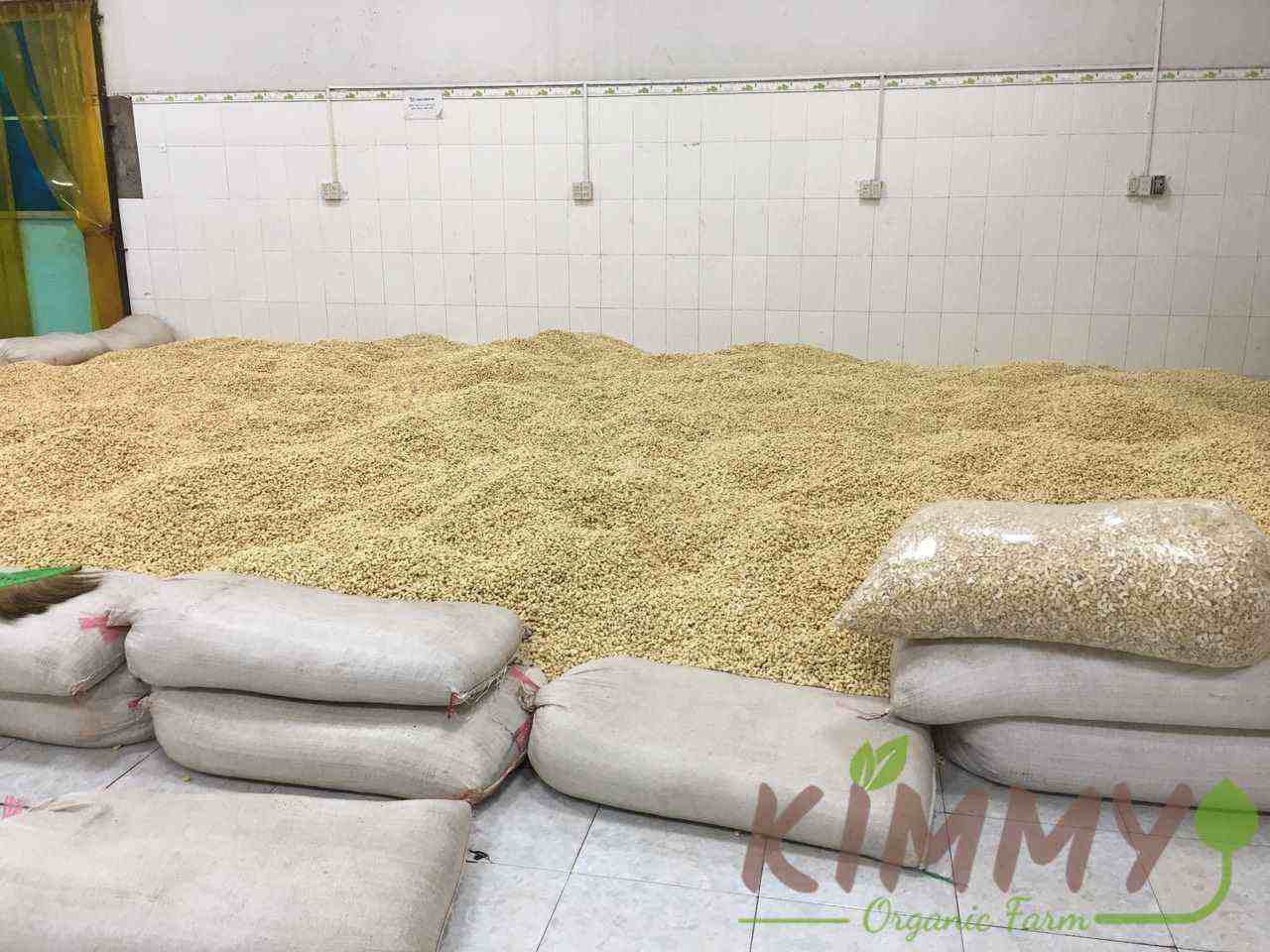 Vietnam W240 Cashew Nut White Whole Cashews High-Quality Ready For Export - Raw image of W240 From Our Cashew Factory!-2