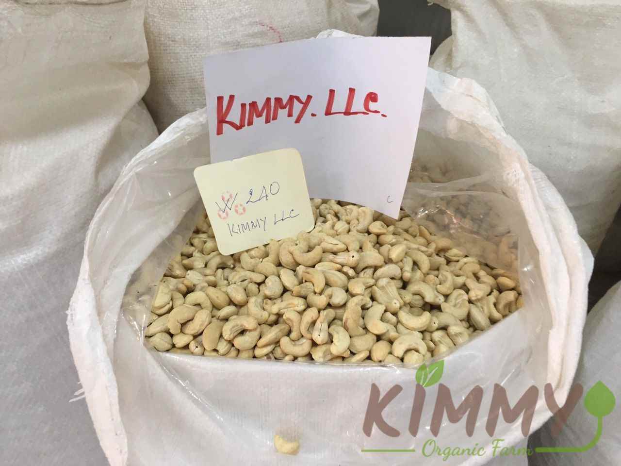 Vietnam W240 Cashew Nut White Whole Cashews High-Quality Ready For Export - Raw image of W240 From Our Cashew Factory!